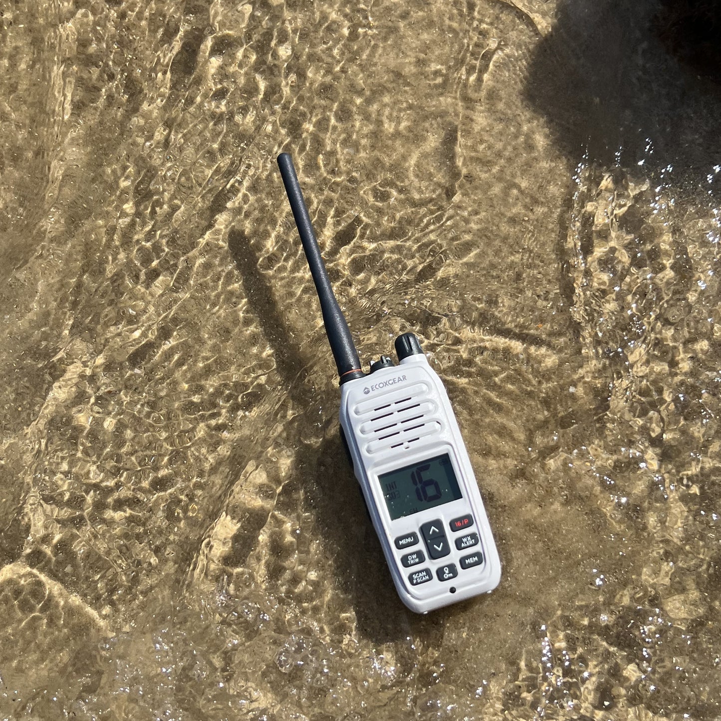 EXM600