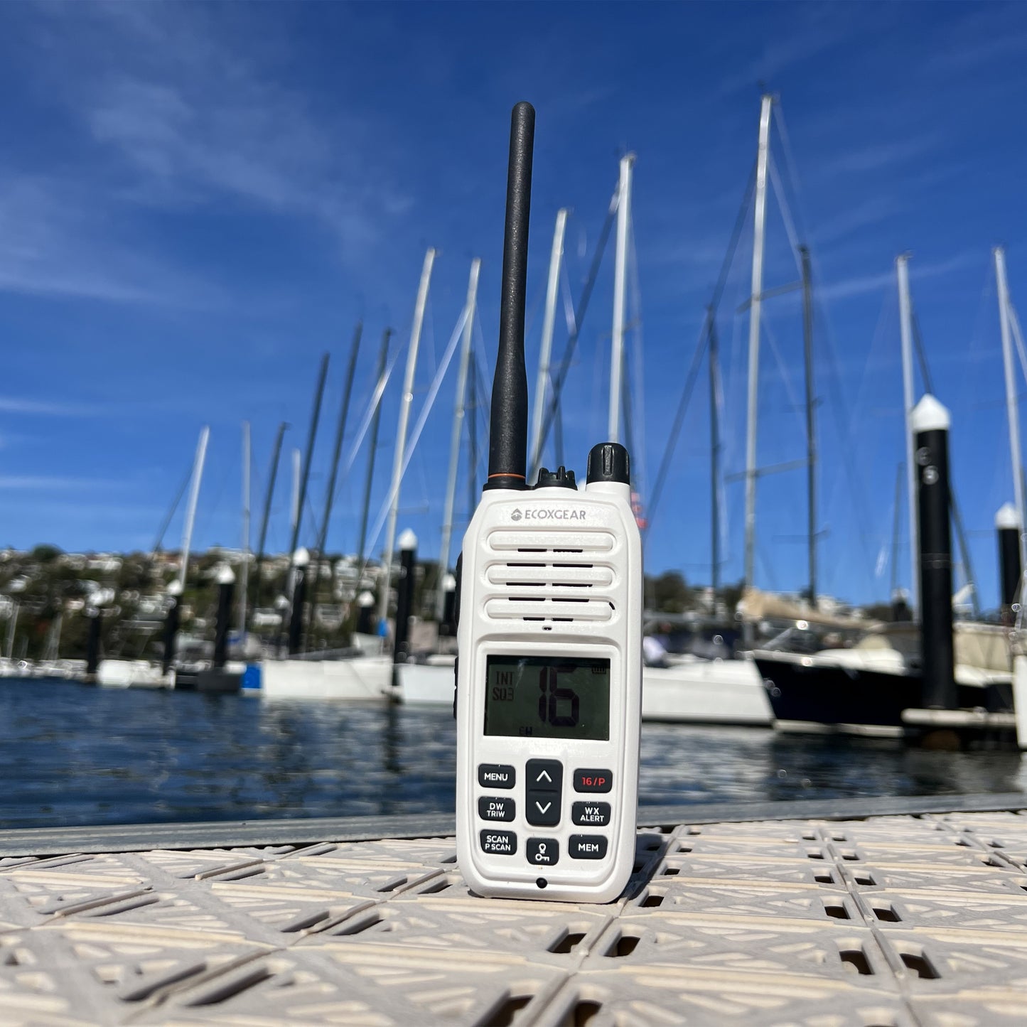 EXM600